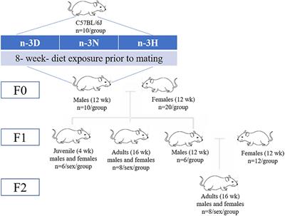 Paternal dietary ratio of n-6: n-3 polyunsaturated fatty acids programs offspring leptin expression and gene imprinting in mice